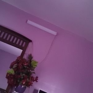 Meet your Posher, Ali